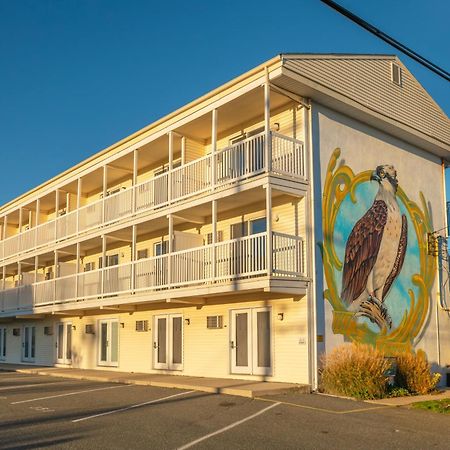 Drifting Sands Oceanfront Hotel Ship Bottom Экстерьер фото